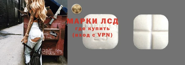 крисы Абаза