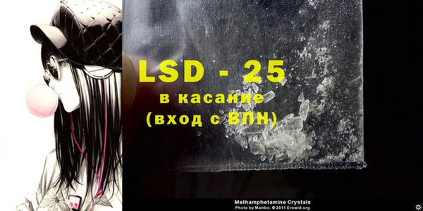 крисы Абаза