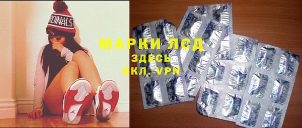 дурь Инта
