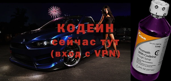крисы Абаза