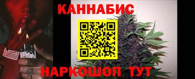индика Тара