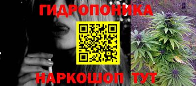 индика Тара