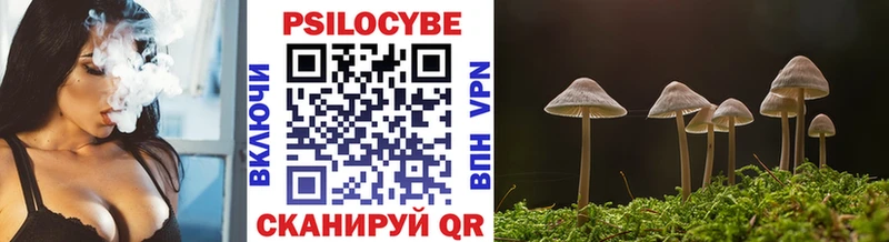 что такое наркотик  Орск  Псилоцибиновые грибы Psilocybine cubensis 