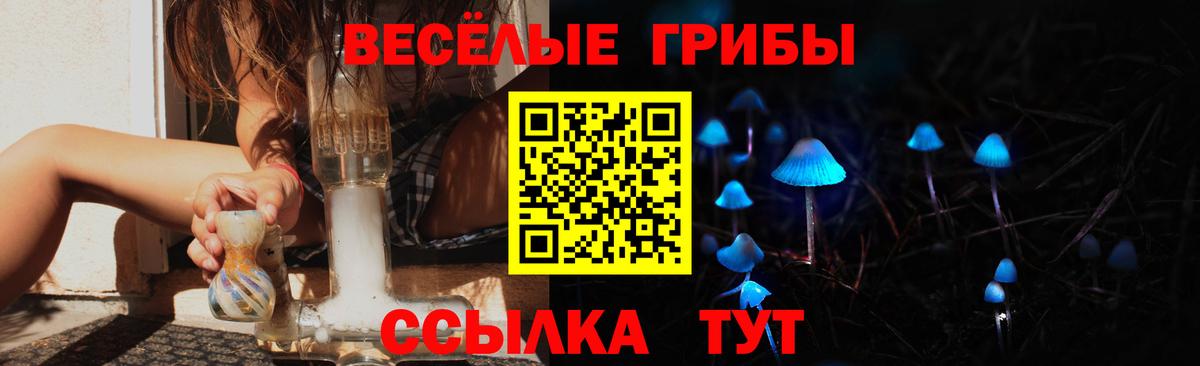 Псилоцибиновые грибы прущие грибы  где купить наркоту  Орск  Вход с VPN  Псилоцибиновые грибы Psilocybine cubensis 